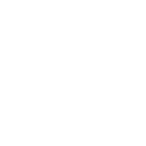 Cyprus_Airways_(2017)_logo