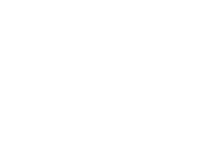 Wizz_Logo_PS_white