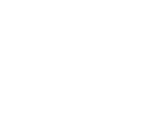 Wizz_Logo_PS_white