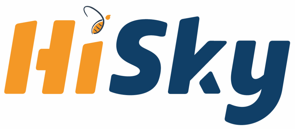 Hi-sky logo
